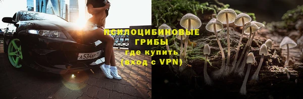 бошки Медногорск