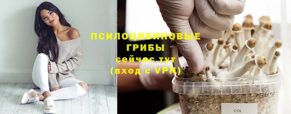 соль курить ск Медвежьегорск