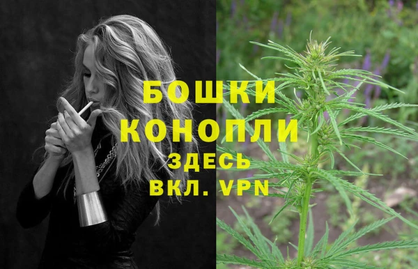 бошки Медногорск
