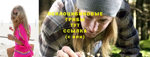 кристаллы Мегион